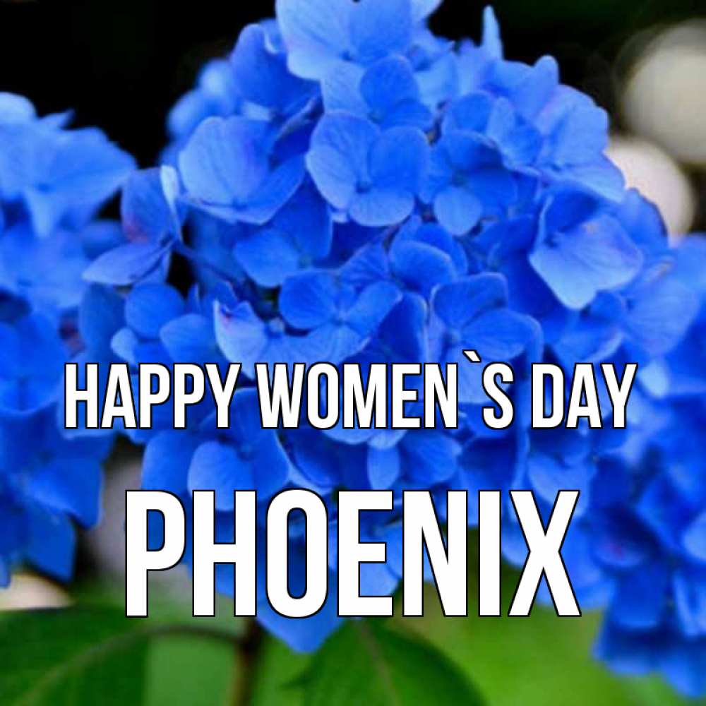 Greetings card с именем, Phoenix happy women`s day синие цветы Greetings with text for free download 